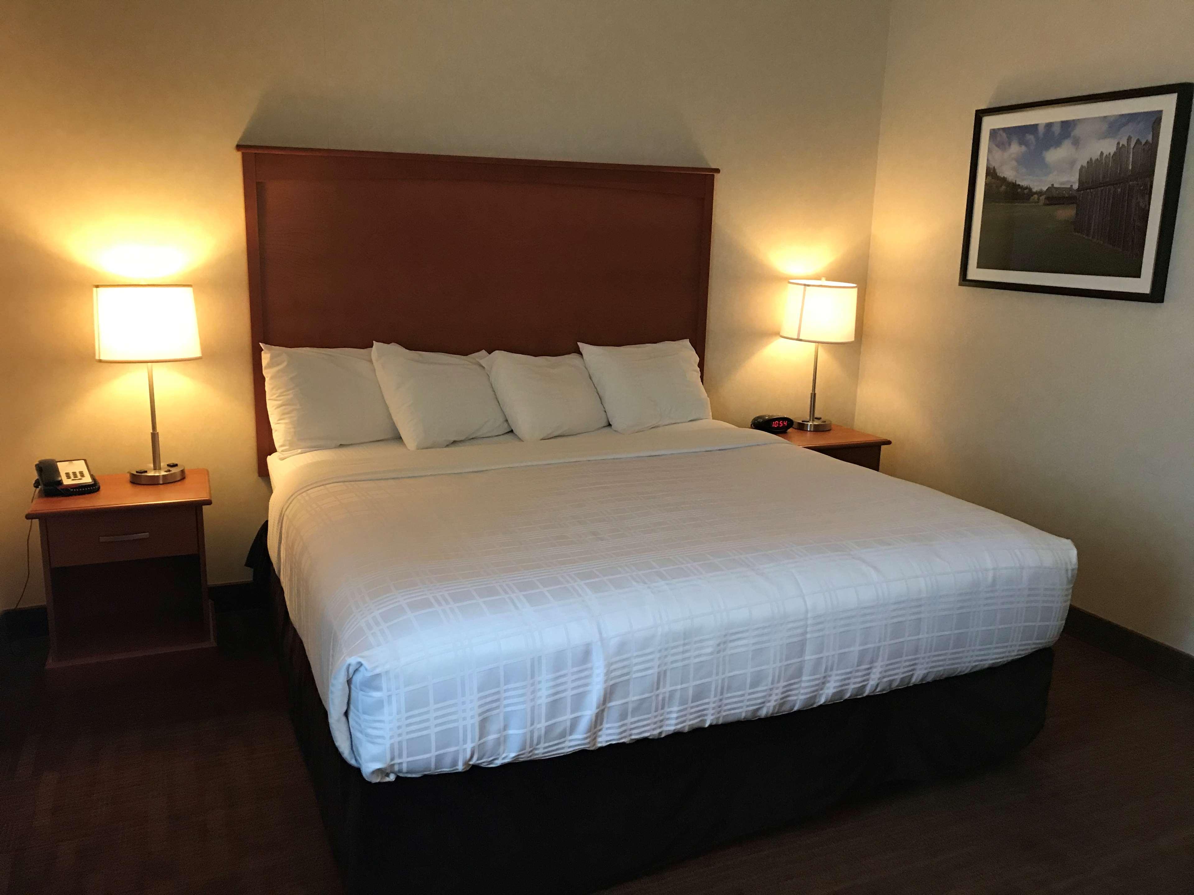 Suite, King Bed