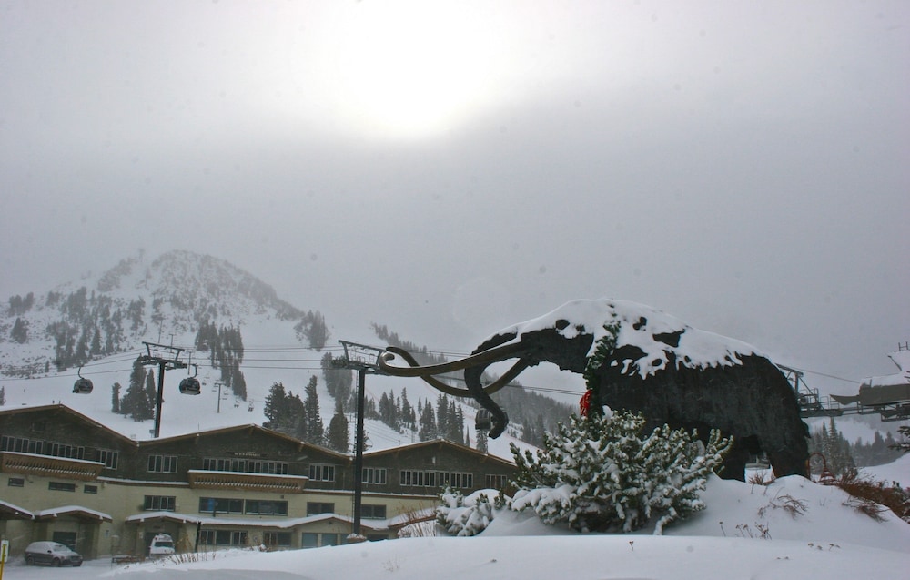 Alpenhof Lodge 42/49
