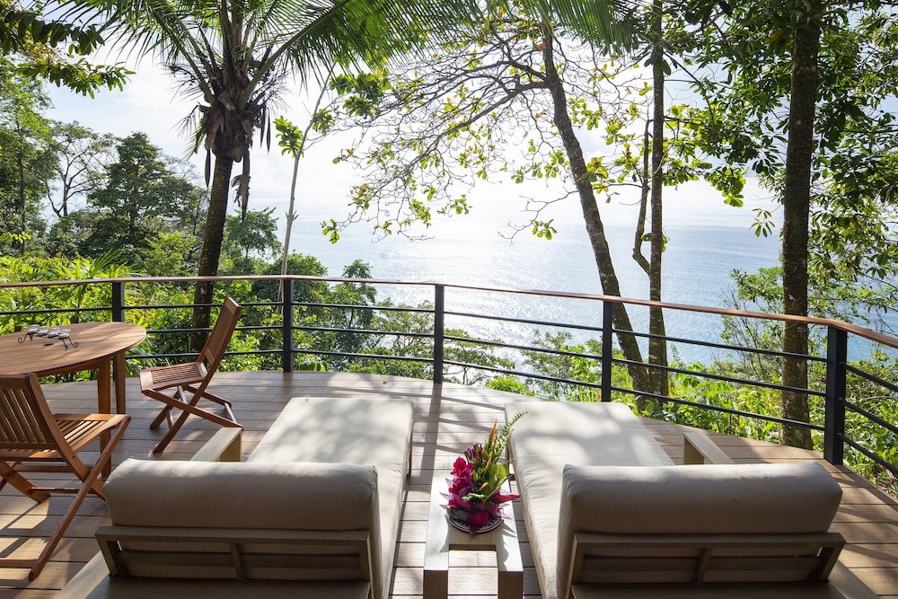 Bosque del Cabo Rain Forest Lodge 19/42