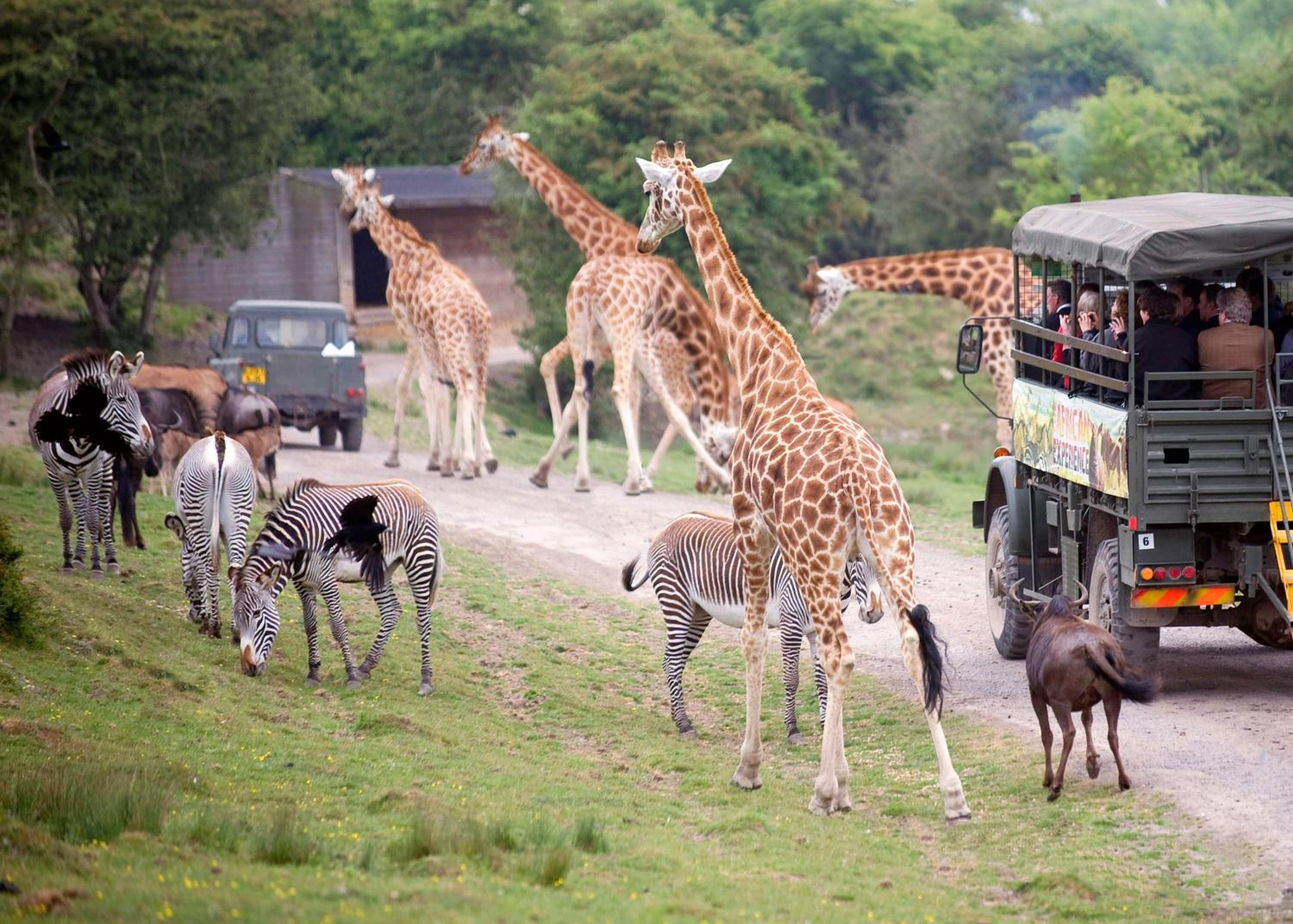 Port Lympne Reserve - Port Lympne Hotel 22/26