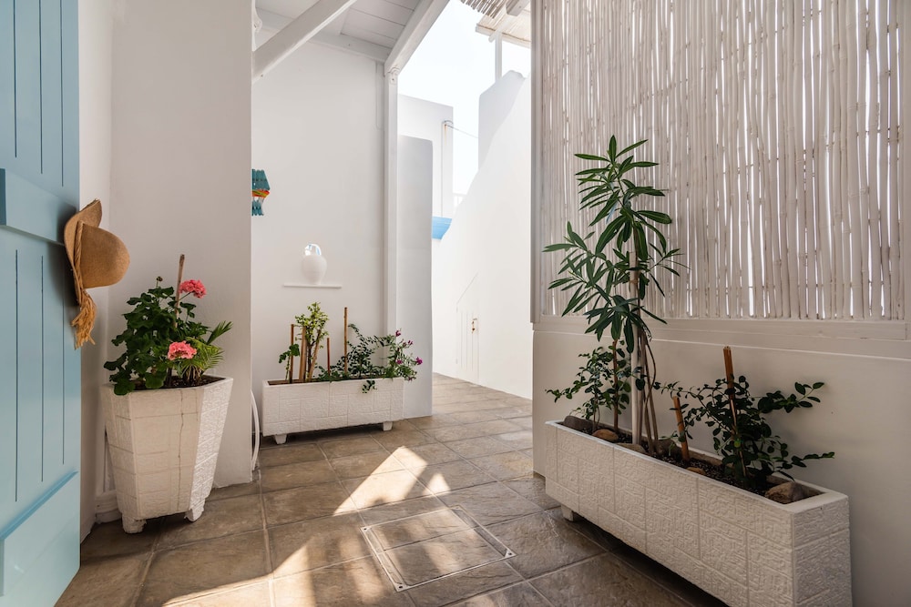 Niki Savvas Studios And Suites 48/73