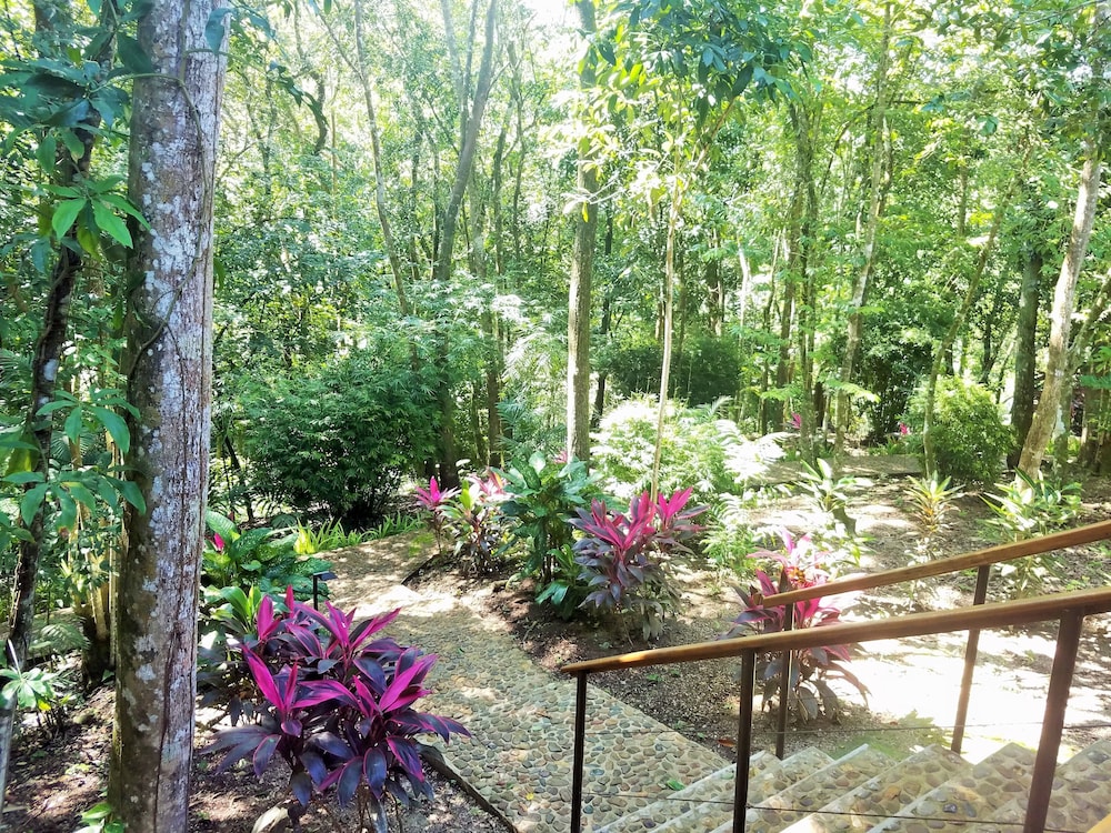 Table Rock Jungle Lodge 62/65
