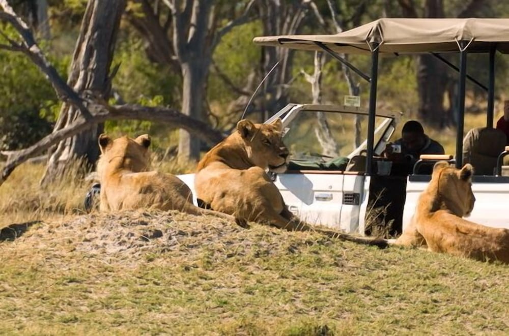Khwai Tented Camp 30/50