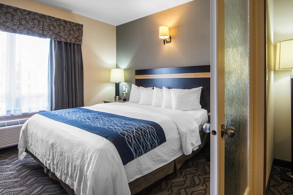 Comfort Inn & Suites Fort Saskatchewan 19/43
