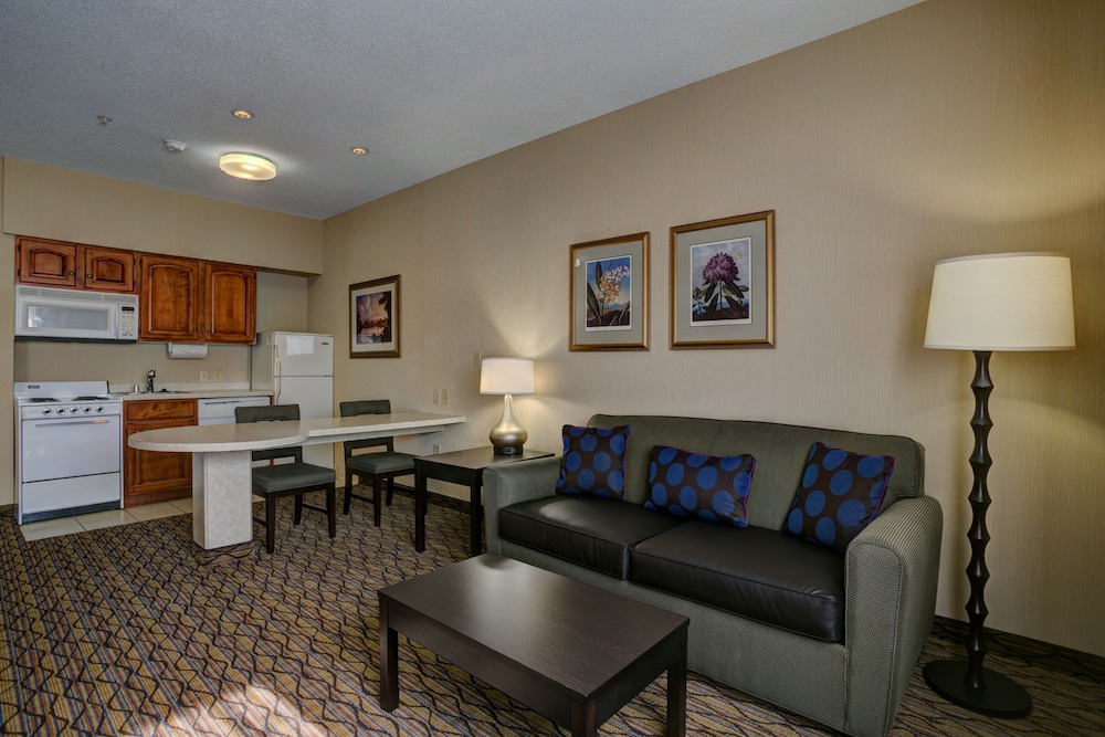 Holiday Inn Hotel And Suites Milwaukee Airport 20/36