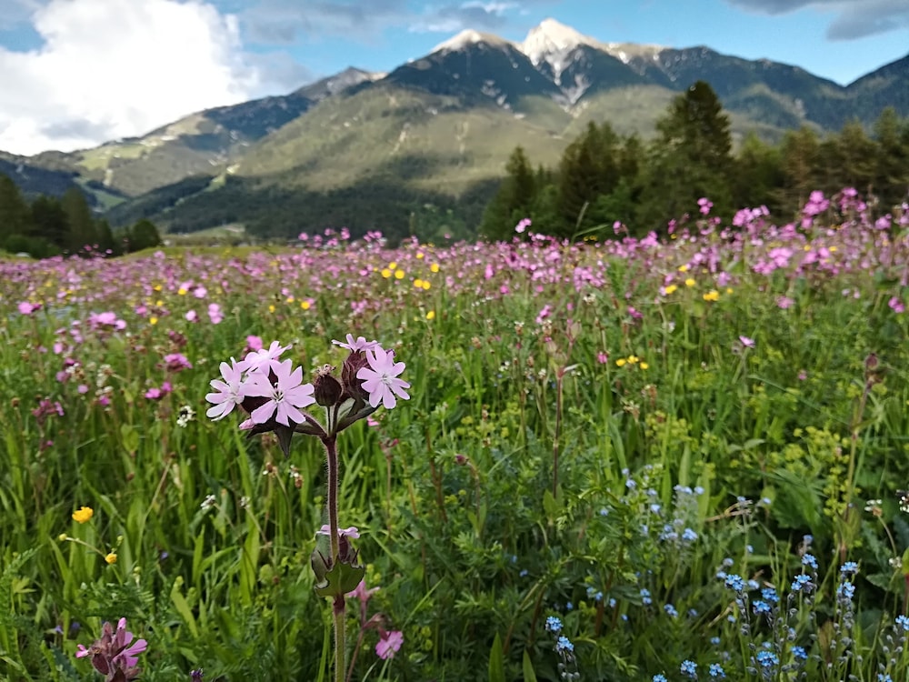 Das Hotel Eden - Das Aktiv- & Wohlfühlhotel in Tirol auf 1200m Höhe 46/48