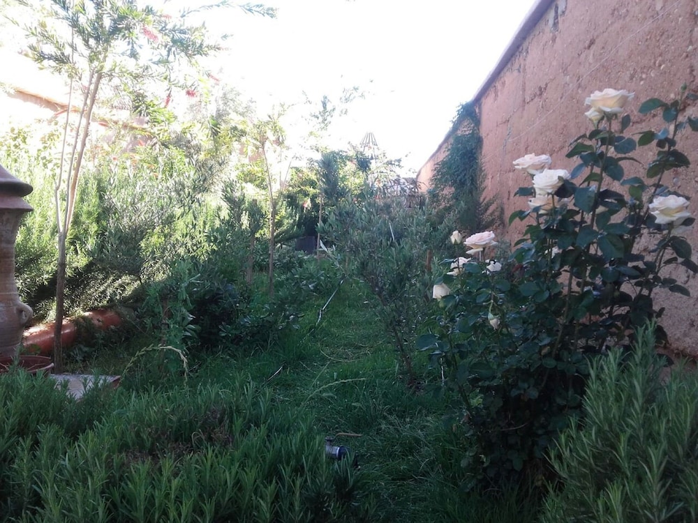 Auberge Toda 32/50