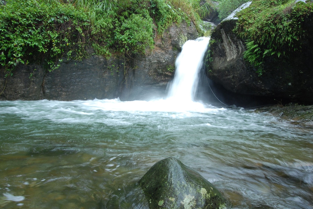 BLUE GINGER WAYANAD RESORTS 28/50