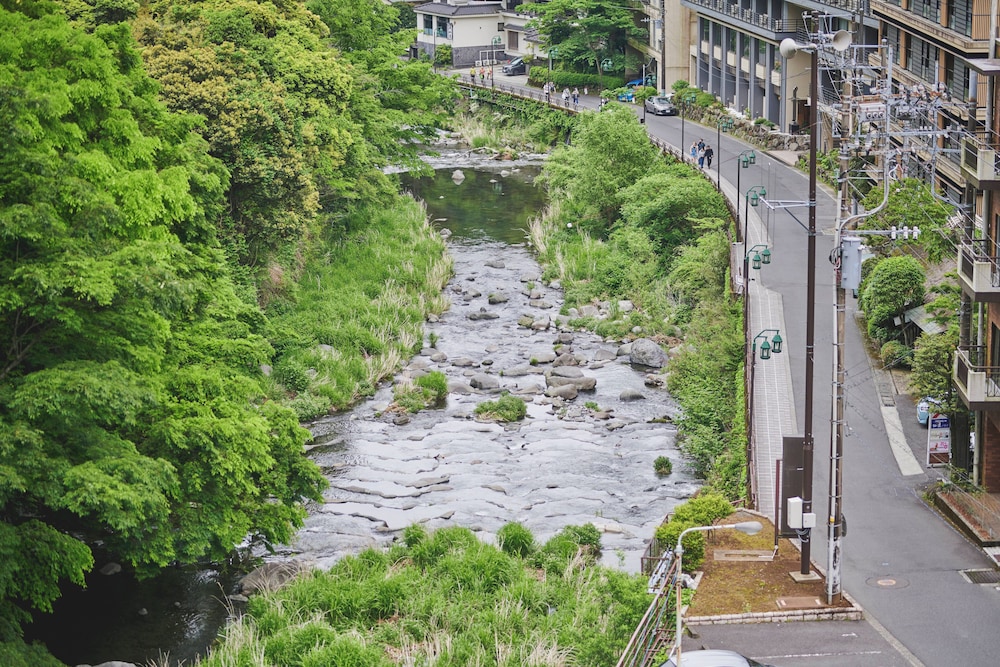 Hakone Pax Yoshino 46/49