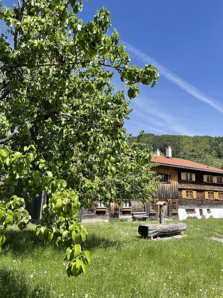 Lindner Hotel Oberstaufen Parkhotel, Part of Jdv by Hyatt 47/50