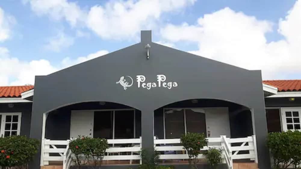 Pega Pega Apartments 2/21