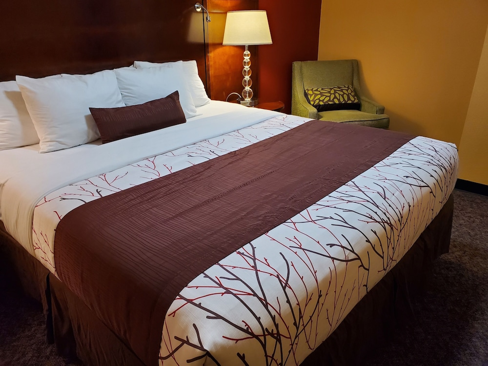 Guesthouse Inn Aberdeen 4/46
