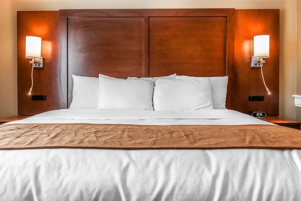 Comfort Suites Rensselaer Near Fair Oaks 13/42