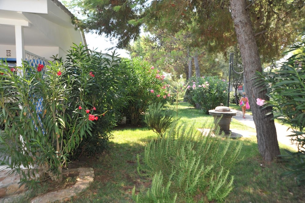 surroundings