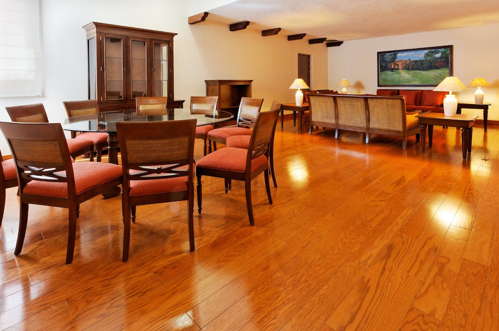 Holiday Inn Merida 49/74