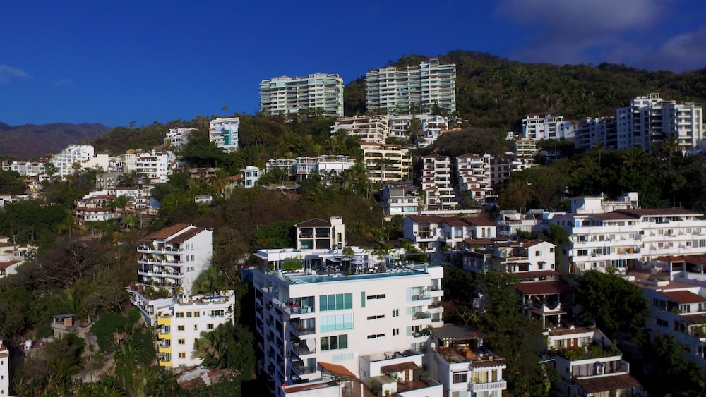 D Terrace Luxury Residences 5/50