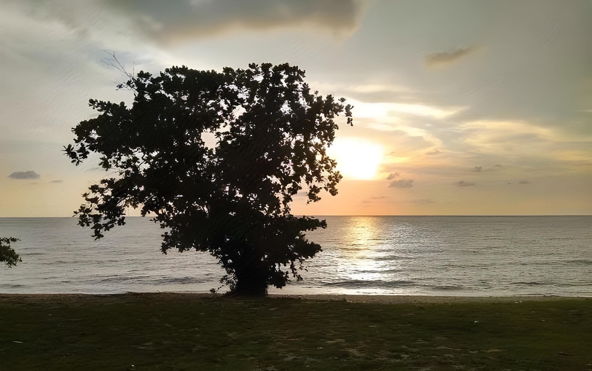 Hornbill Bay Resort 10/27