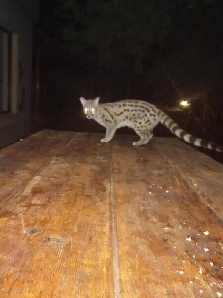 Turaco Lodge 37/47