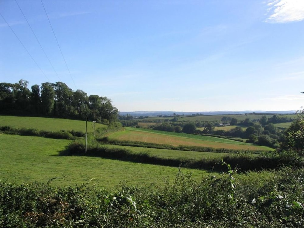 Brambles B&amp;B 46/49
