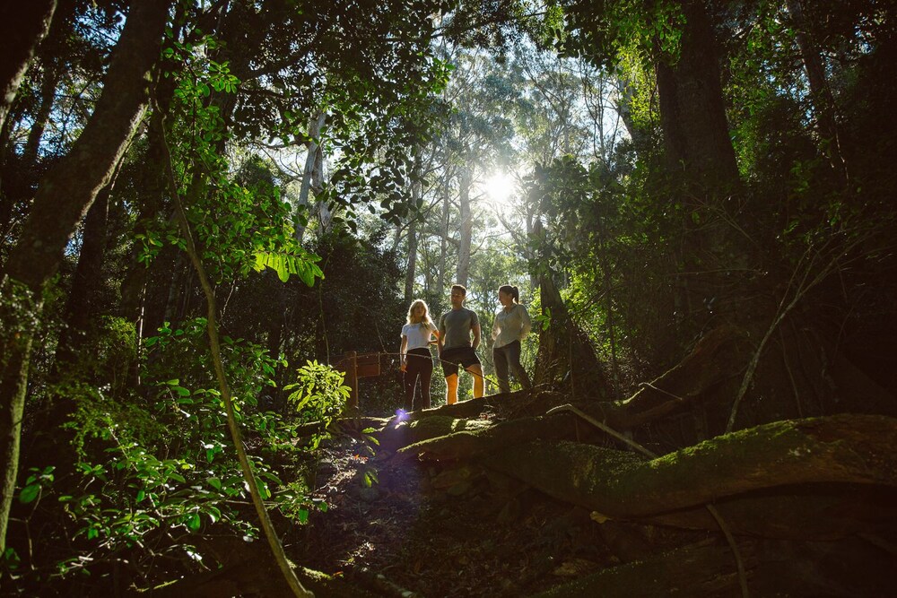 Spicers Peak Lodge 41/82
