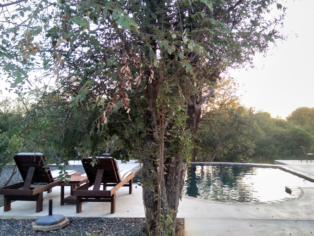 Leadwood Tree Safari Lodge 695 21/30
