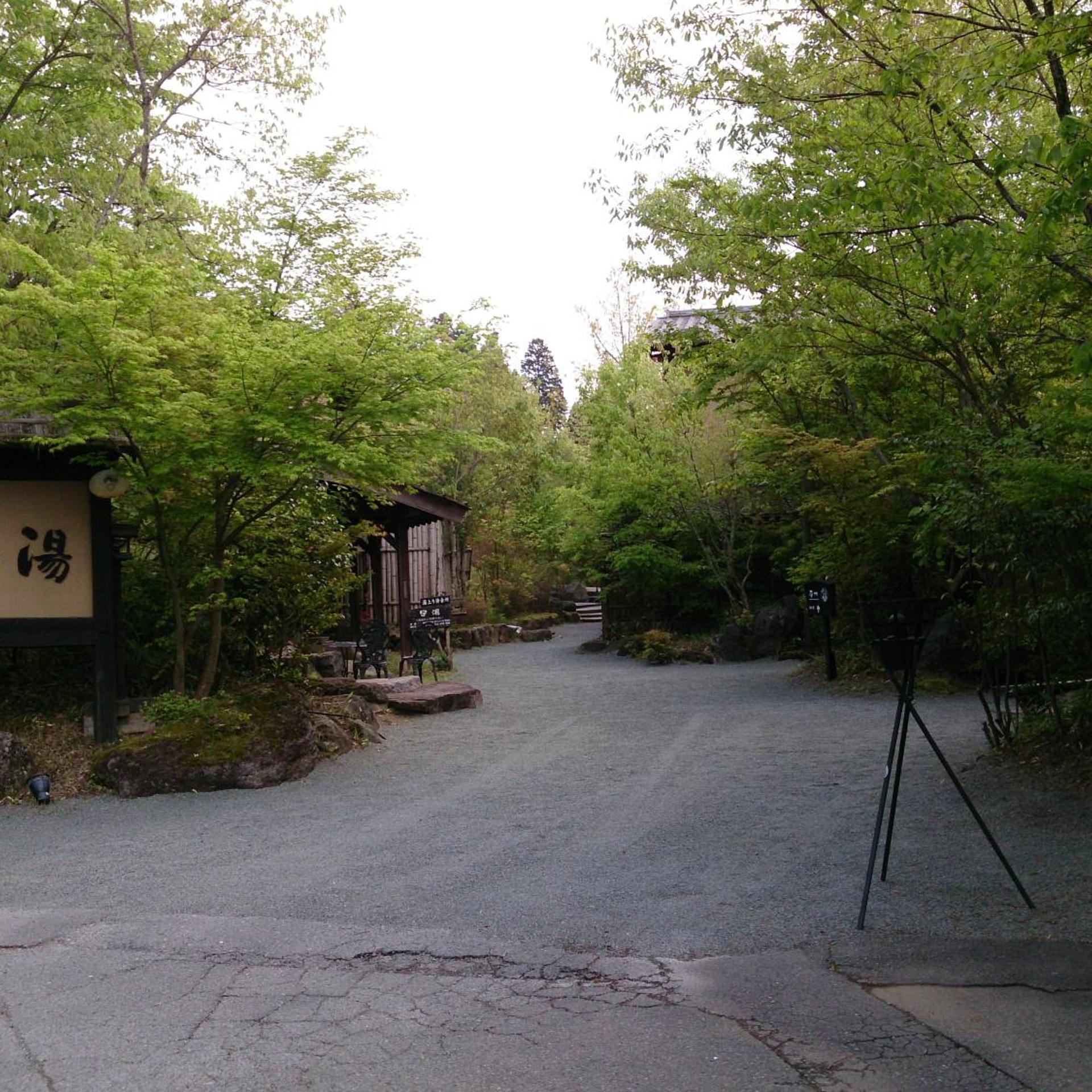 Ryokan Kono-Yu 45/50