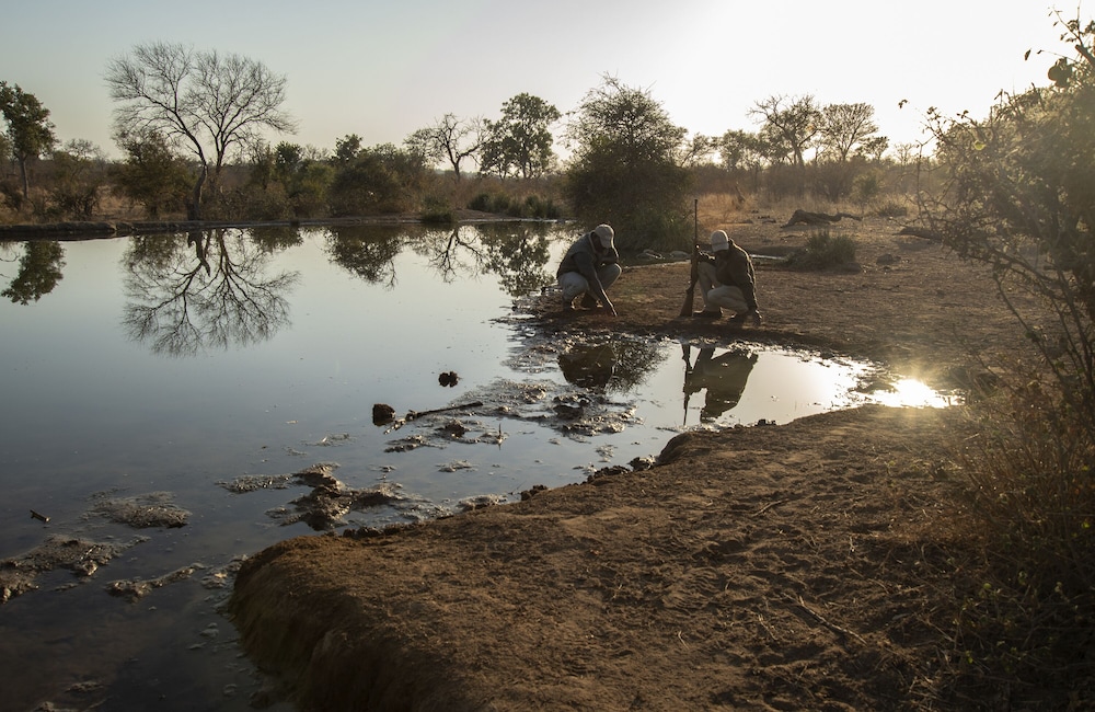 Pondoro Game Lodge 58/66