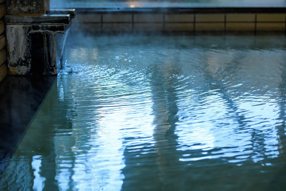 Tamaya Ryokan 31/50