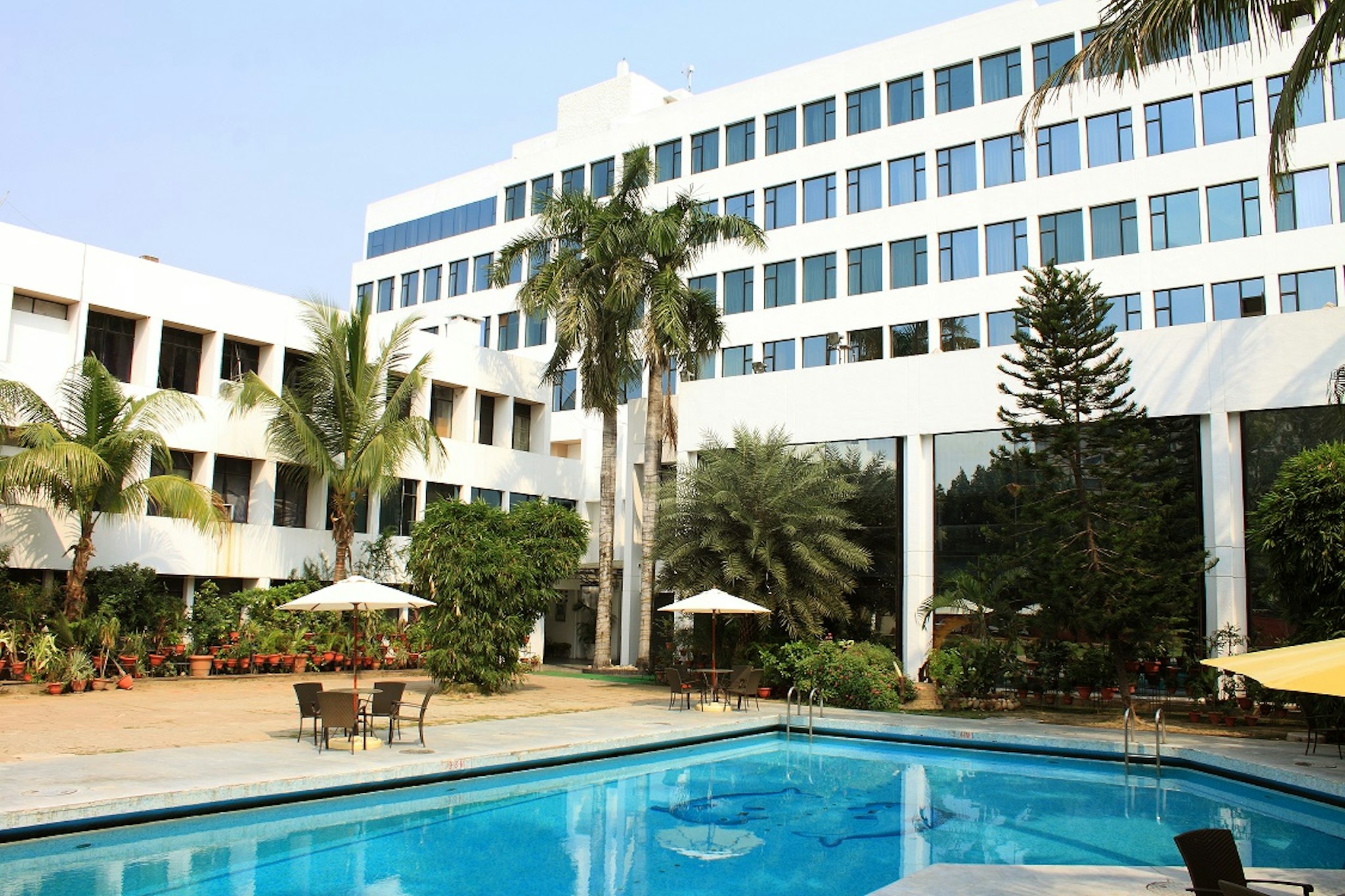 Maurya Patna 2/50