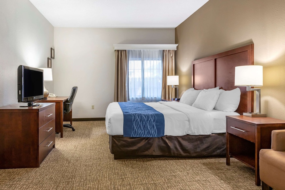 غرفة قياسية بسرير كينج، Comfort Inn Downtown University Area 2/5