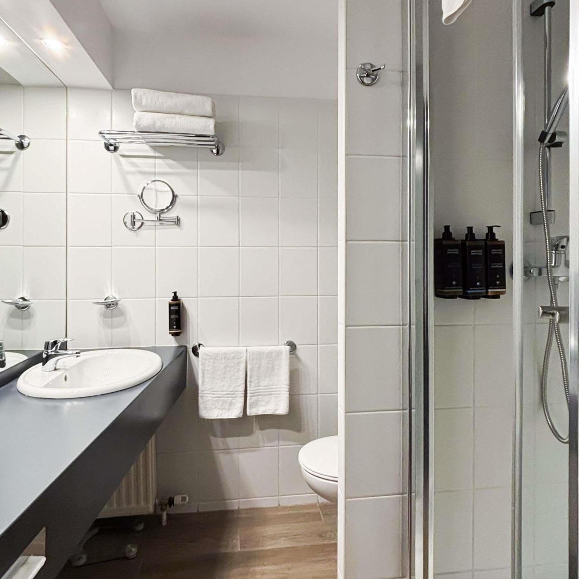 Classic, Twin Beds, Garden Side، Mercure Cieszyn 5/6