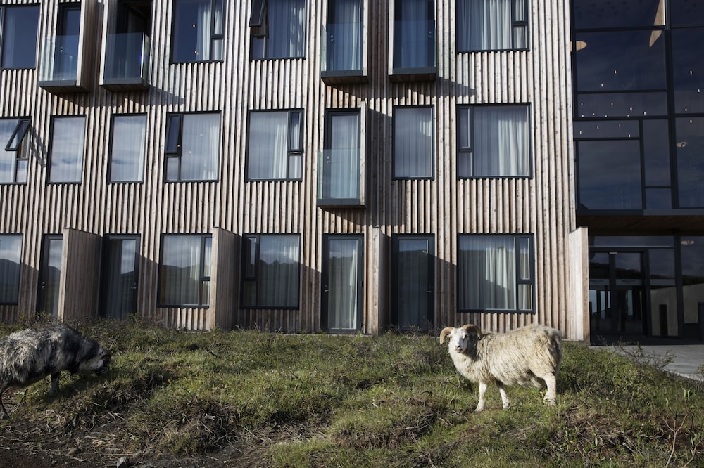 Fosshotel Myvatn 2/58