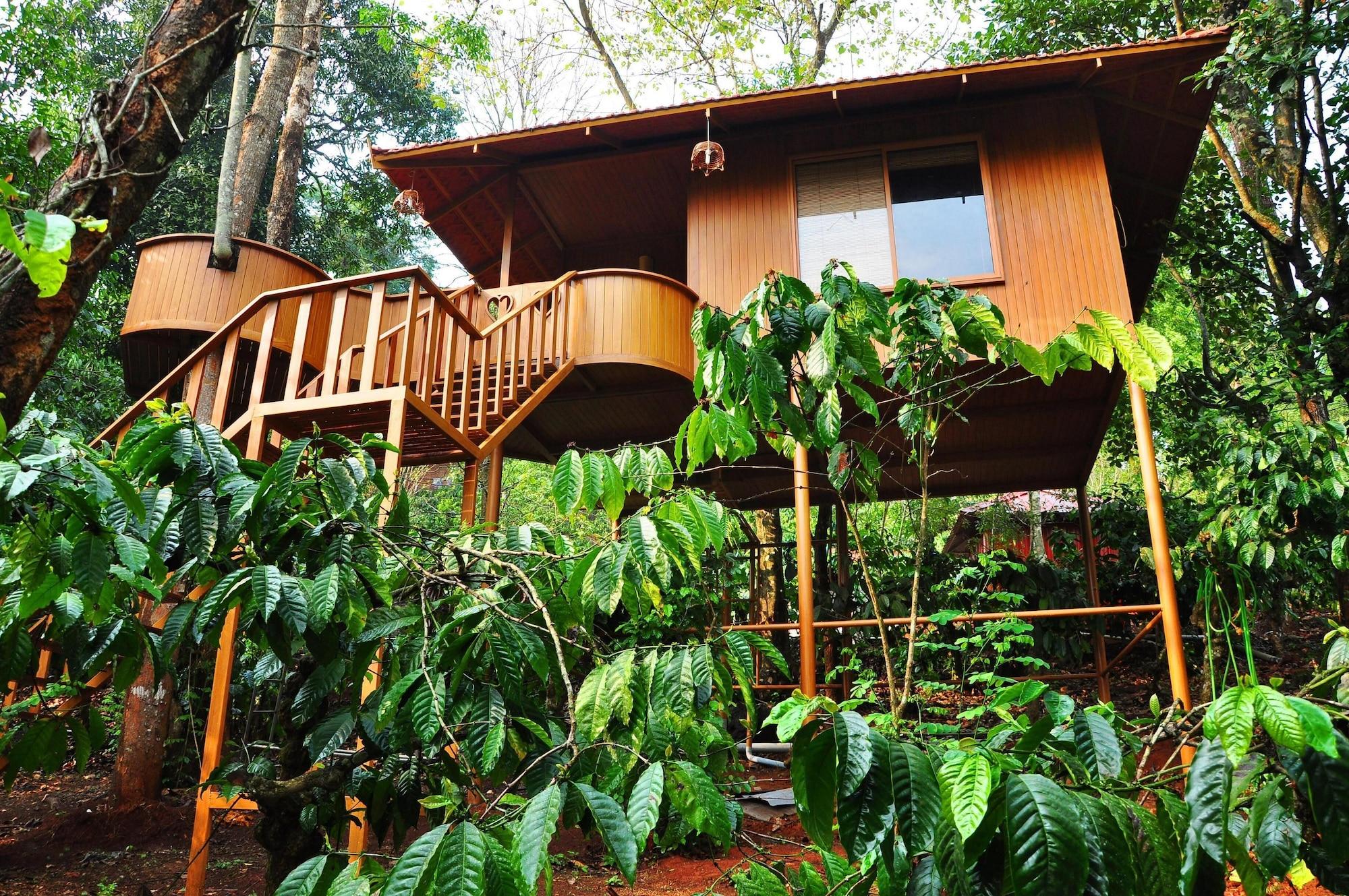PLANET GREEN PLANTATION RESORTS 5/55