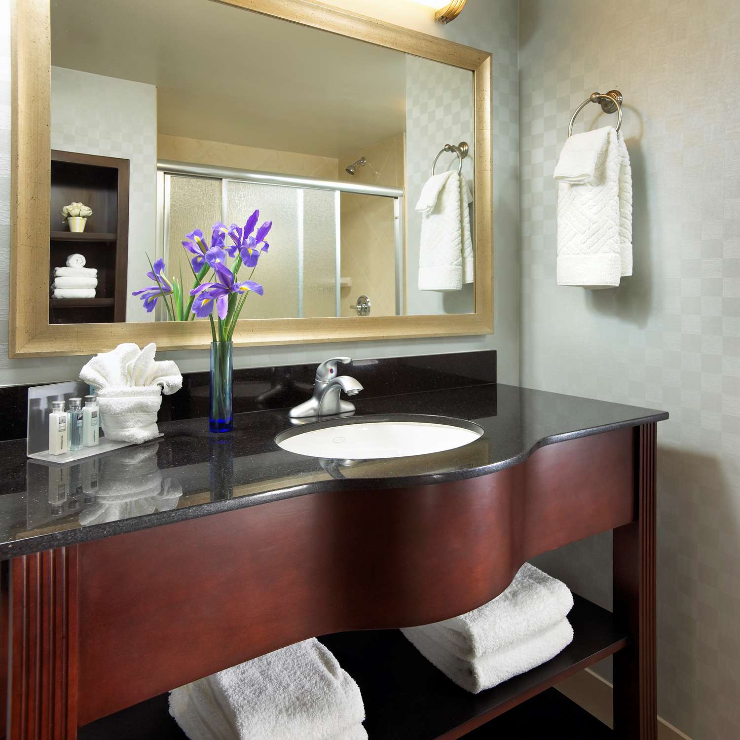 Hampton Inn San Diego/Mission Valley 52/52