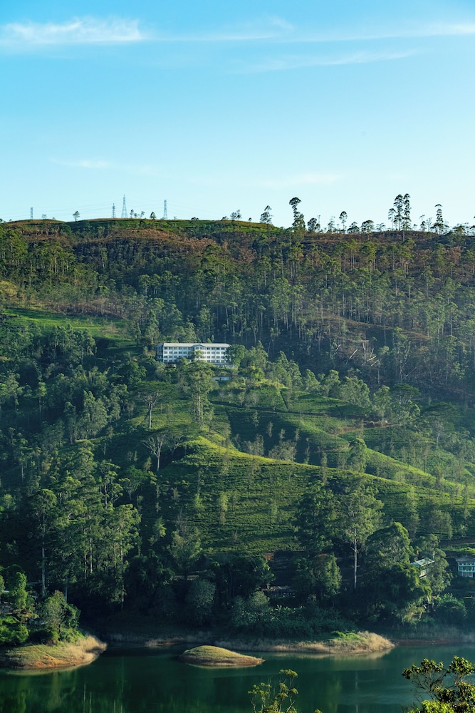 Camellia Hills 46/58