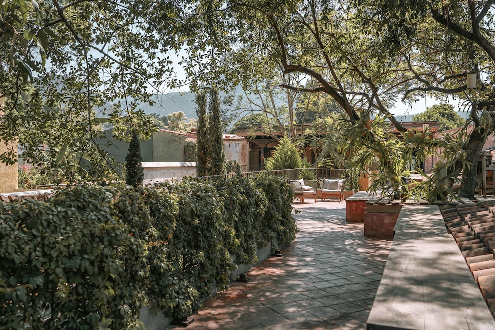 El Convento Boutique Hotel 55/66