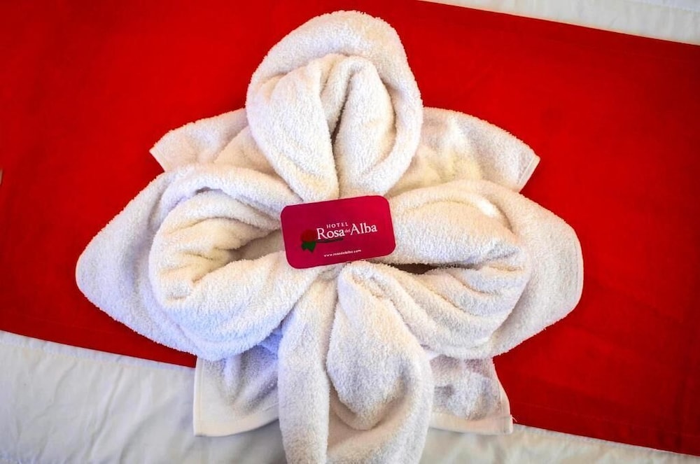 Hotel Rosa del Alba 20/40