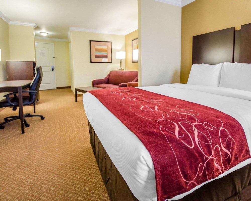 Suite, King Bed, Sofa, Comfort Suites Elizabethtown 4/6