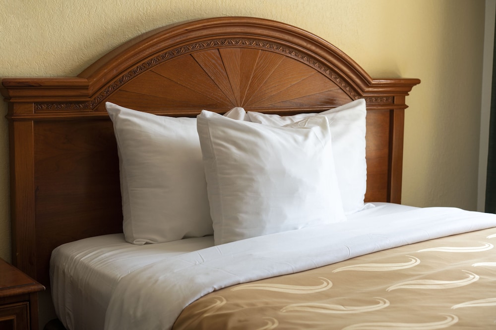 Quality Inn Suites Biltmore East 14/29