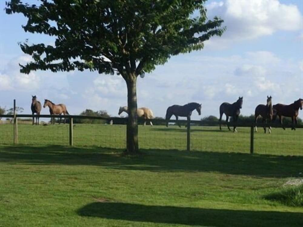 Skipbridge Farm Cottages 40/50