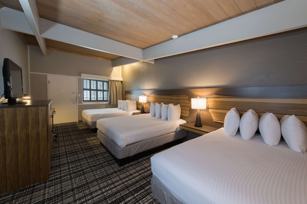 STANDARD, MULTIPLE BEDS