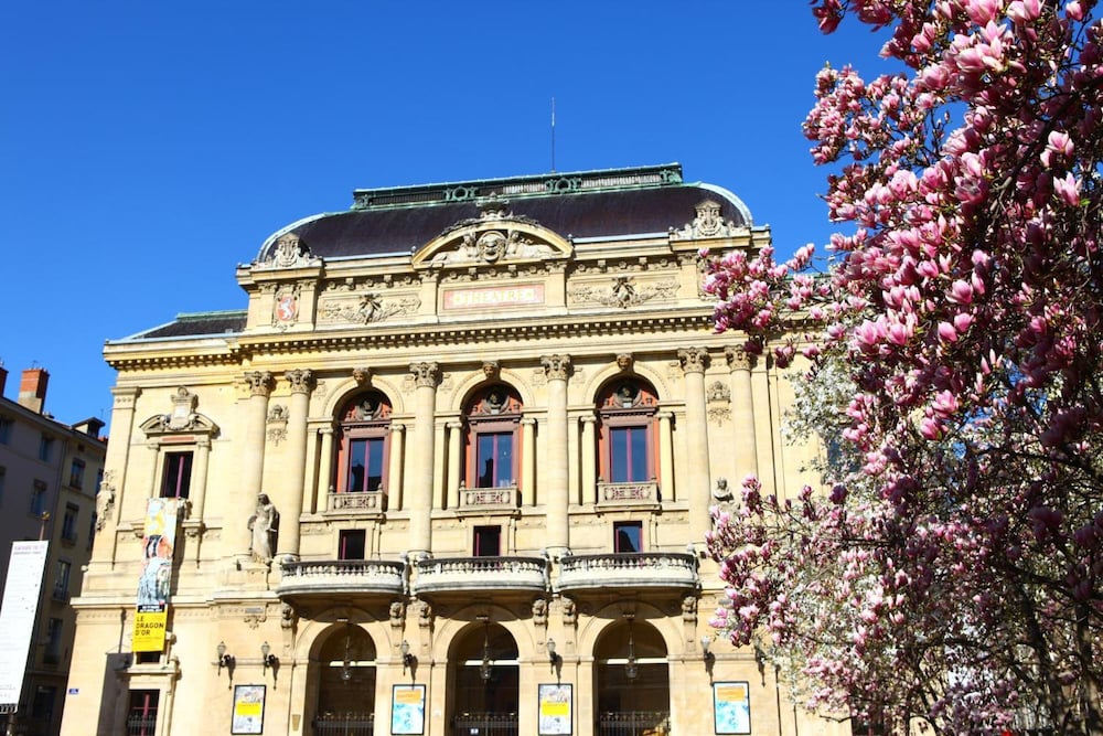 Hotel Des Celestins 2/39