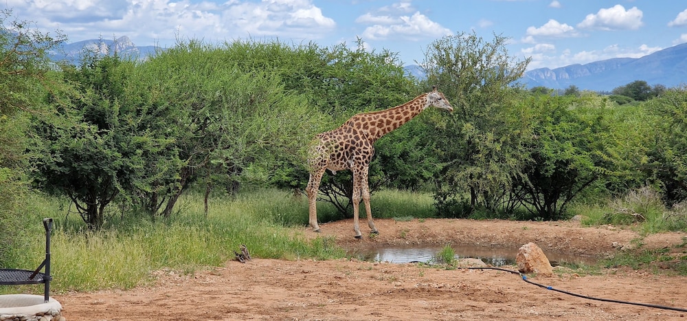 Thandolwami Bushlodge & Spa 16/26