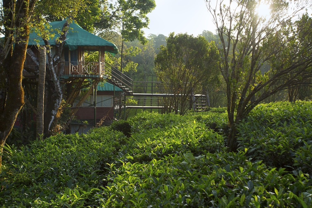 Dream Catcher Plantation Resort 29/50
