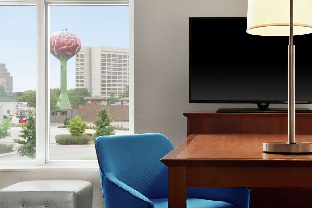 Hampton Inn Suites Rosemont Chicago O Hare 29/46
