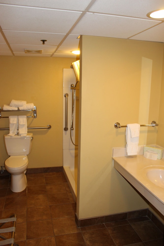 Lamplighter Inn Suites South 24/51