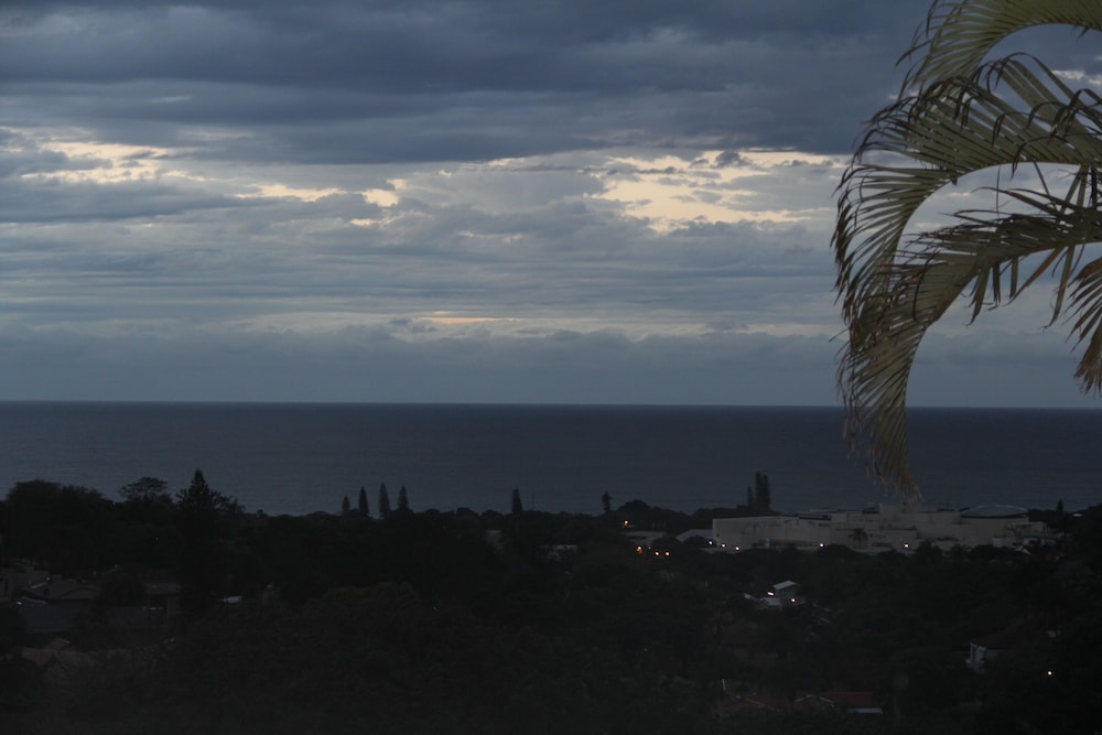 Seaview Manor Exquisite Bed & Breakfast 30/41