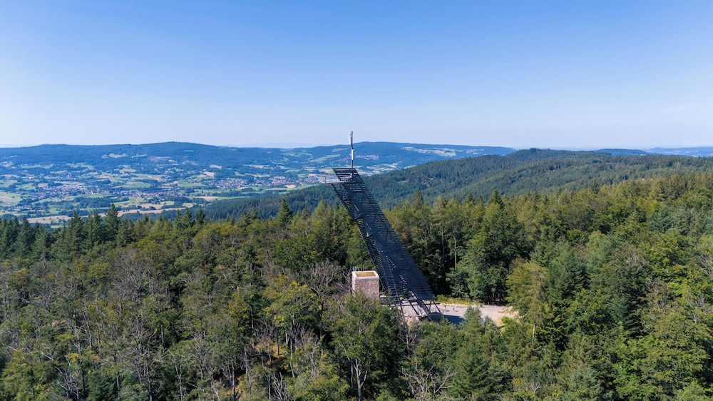 Gasthof Pension Zur Traube 24/30