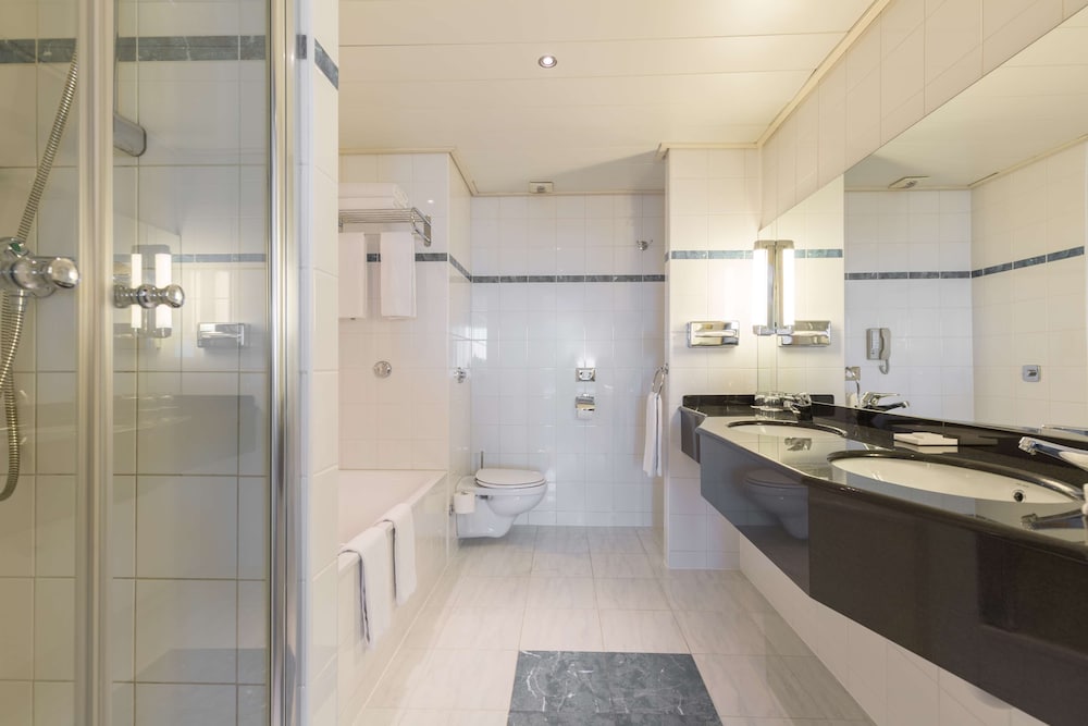 Radisson Blu Hotel Amsterdam Airport 15/80
