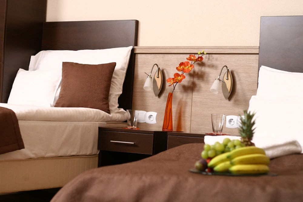 Central Hotel 21 photo5